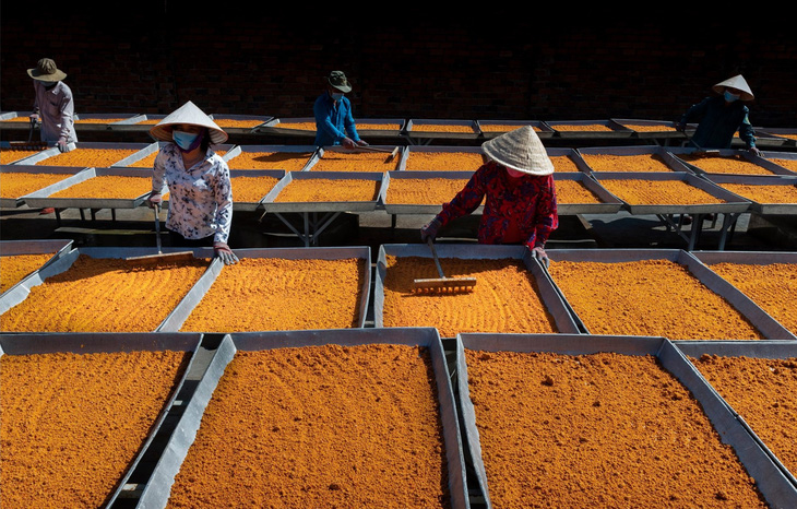 Nghề làm muối ớt Tây Ninh trở thành 'di sản văn hóa phi vật thể quốc gia'