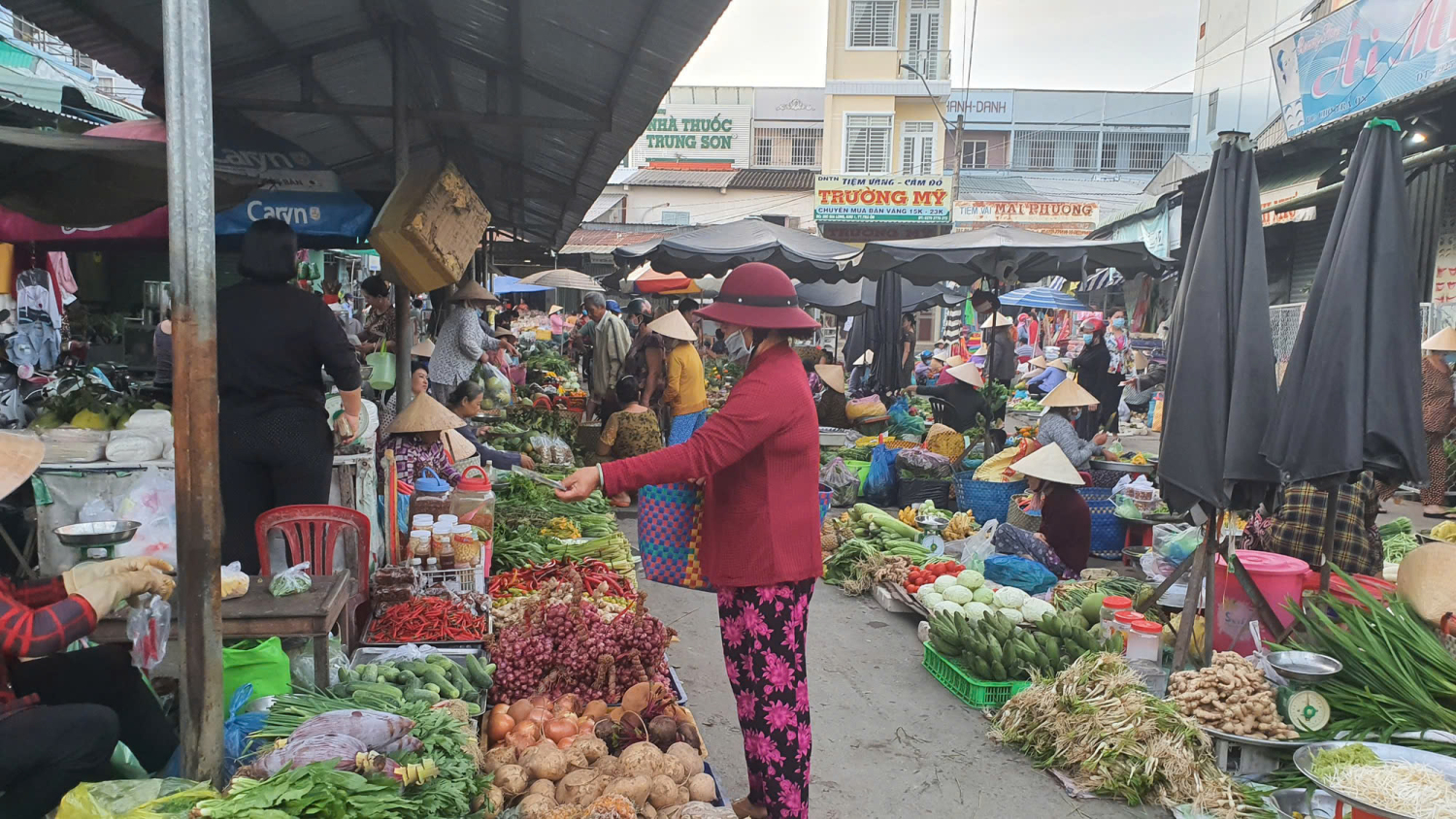 Hình ảnh minh họa